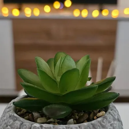 Sunshine Cityblock バニャ・ルカ